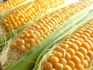 とうもろこし　レンジ　茹で方